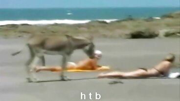 الهاتف الاباحية مثلي الجنس نيج عراقي مجانا